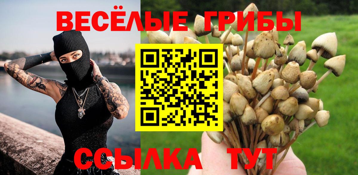 Псилоцибиновые грибы прущие грибы  Псилоцибиновые грибы Cubensis  Вход с VPN  Куйбышев 